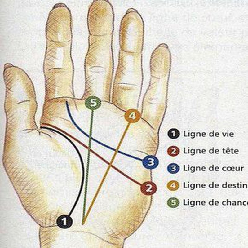 La chiromancie : comment lire les lignes de la main ?