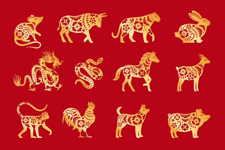 Signes astrologiques chinois : quelles différences avec la France ?